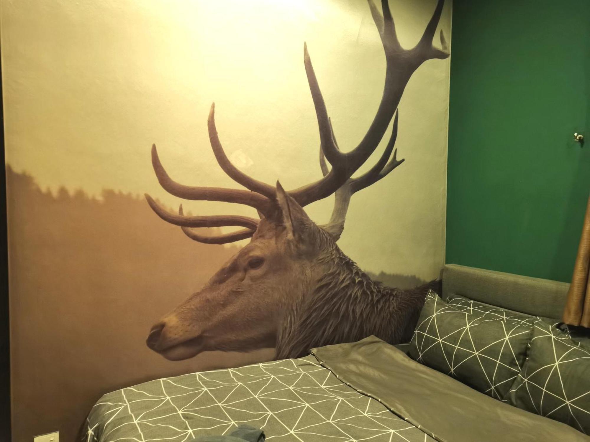 Cozy Forest Themed Homestay 4 Bedroom Kuala Lumpur Kültér fotó